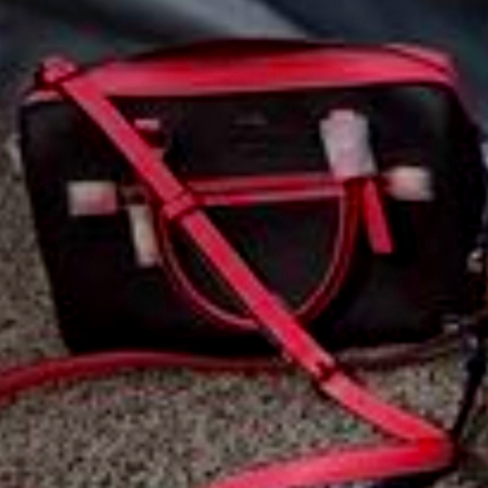 Small Coach purse